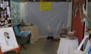 Expociencia